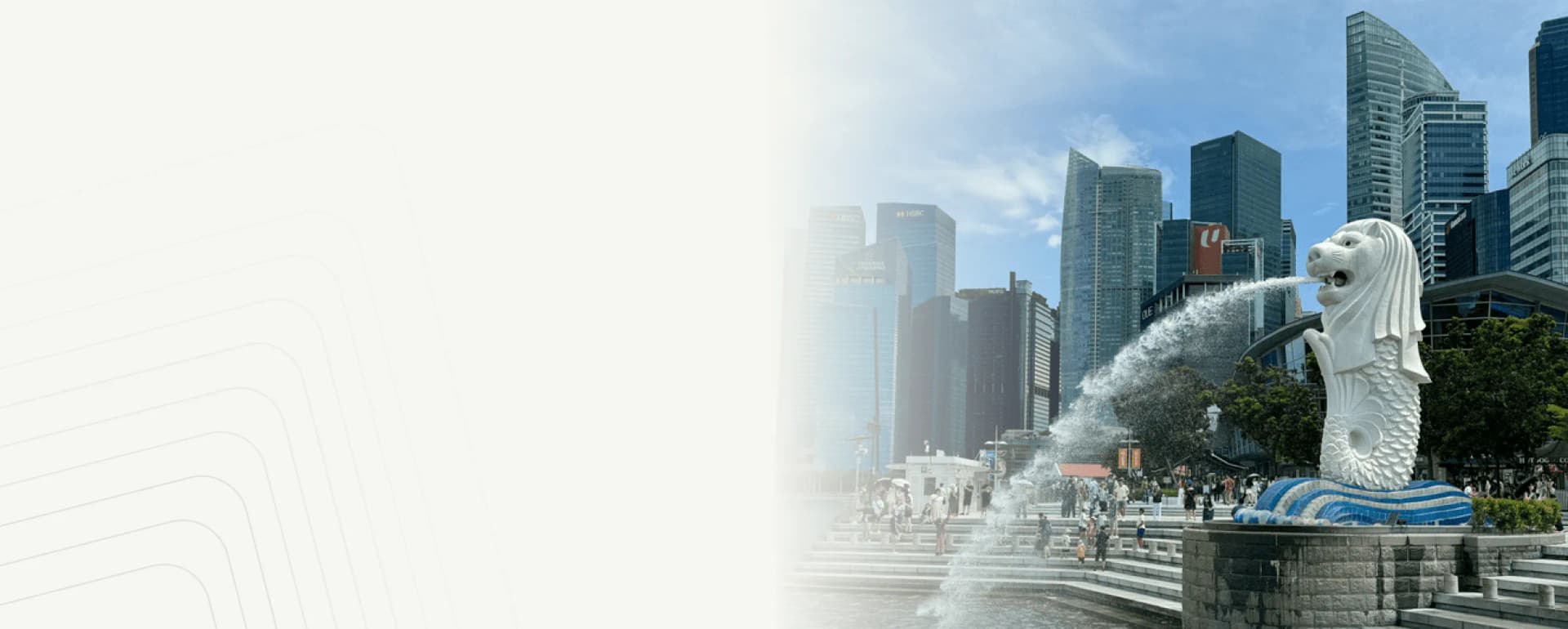 NRI Wealth Management Banner 1
