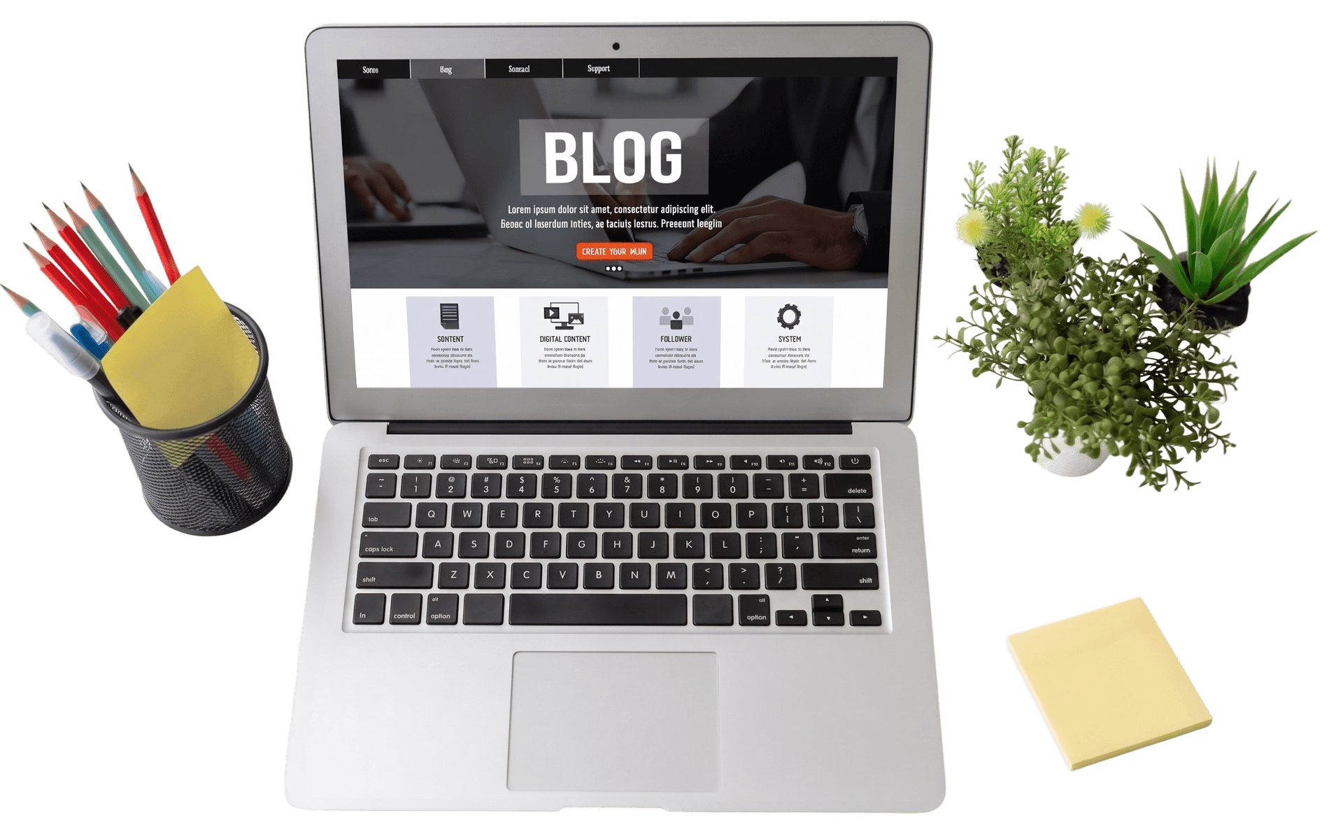 Blog Detail